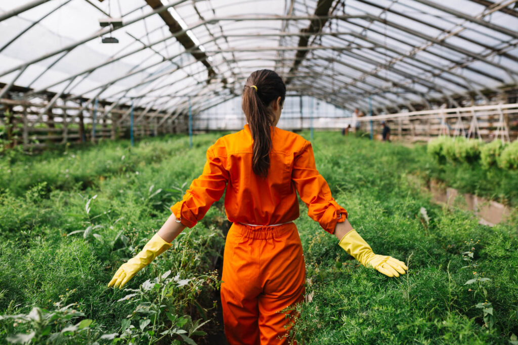 Sustainable Organic Farming for Agriculture: Building Green Future cover image