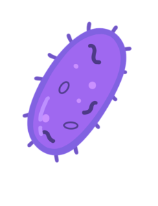 Prokaryotes post image