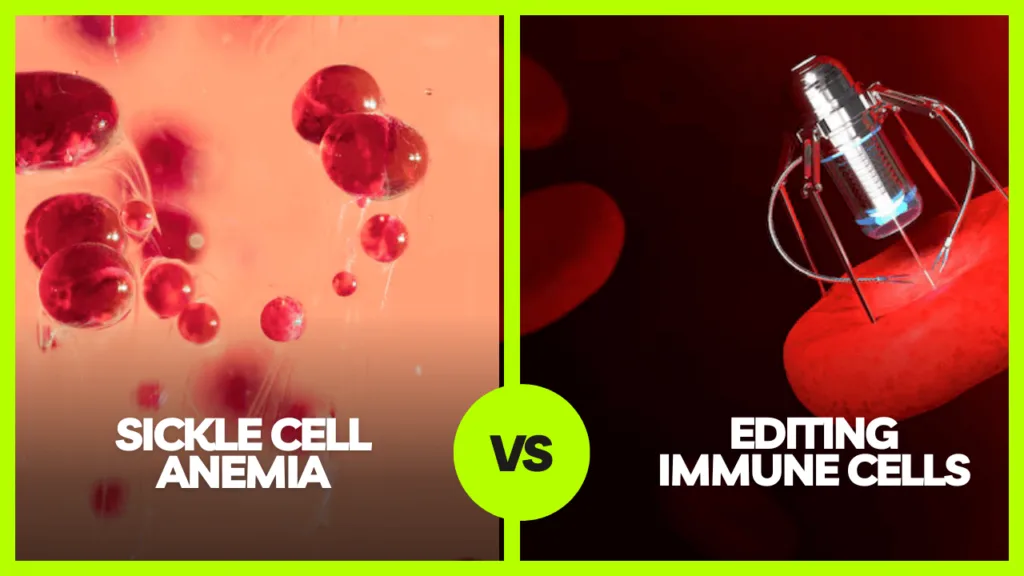 Sickle cell anemia vs. edited cells: showing how CRISPR alters the genetic structure to correct the disease.
