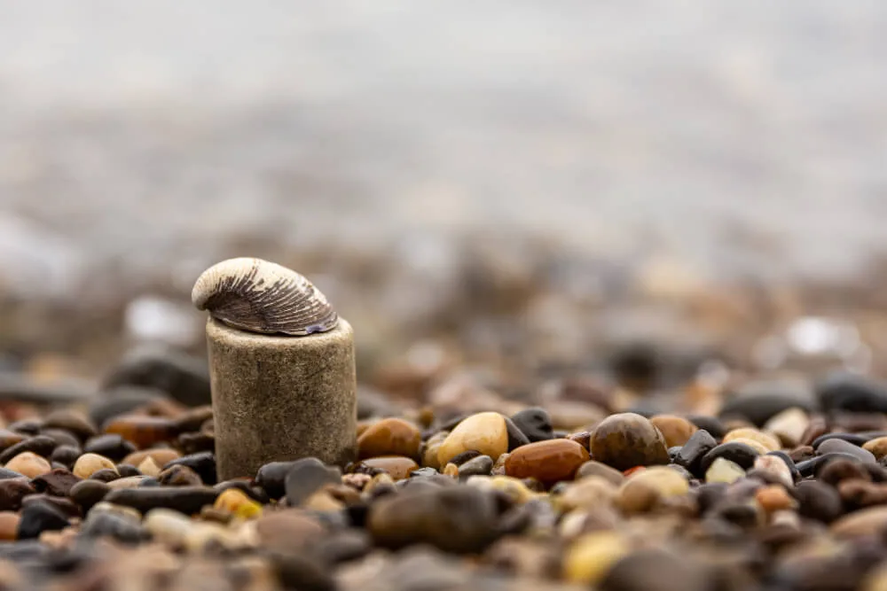 A seaside hamlet nestled along a rugged coastline, the shellfish industry adopts to the changing tides of ocean acidification.