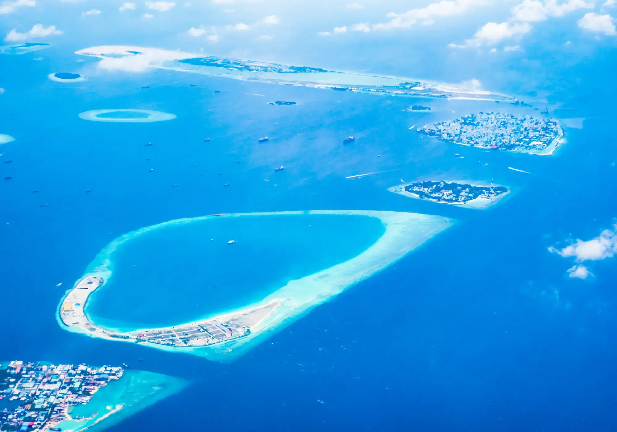 How Many Oceans in the World? Names, Facts, and Geography Explained
