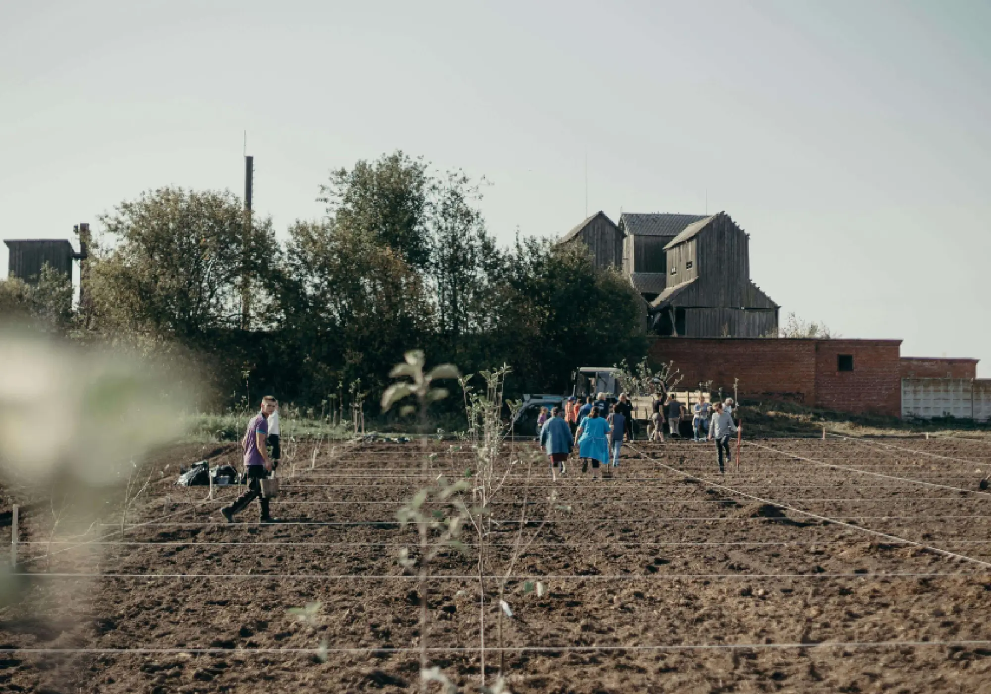 How Community-Led Ecosystem Restoration Projects Are Saving Nature