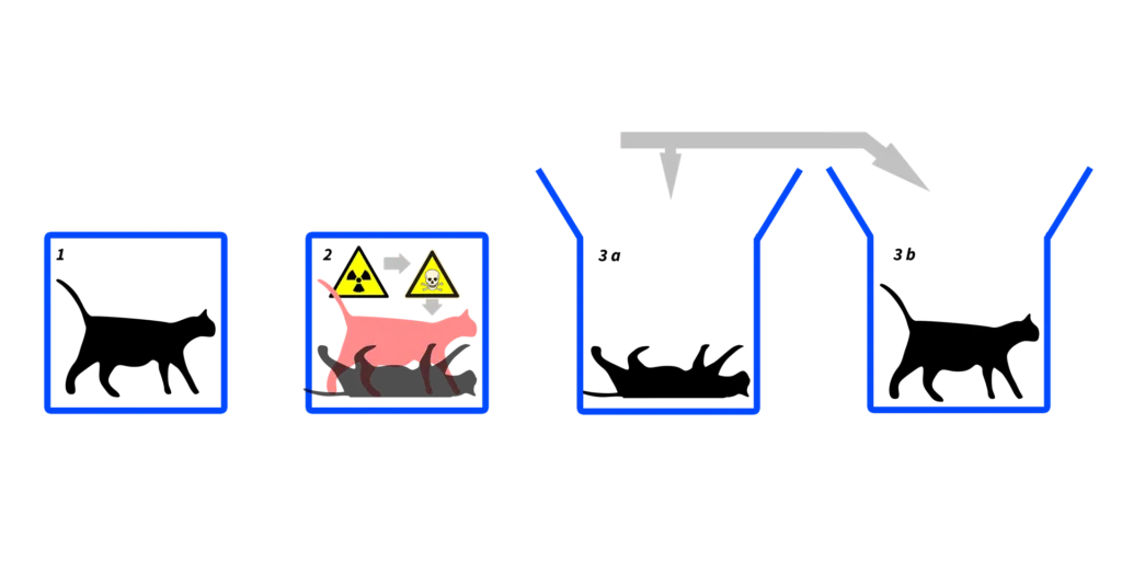 Diagram explaining Schrödinger’s Cat thought experiment, showing a cat inside a box with a radioactive atom, Geiger counter, poison vial, and hammer, illustrating the superposition of alive and dead states until observed.