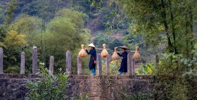 Thai farmers in a community restoration project practicing agroforestry with fruit trees and crops for ecosystem restoration and biodiversity recovery.