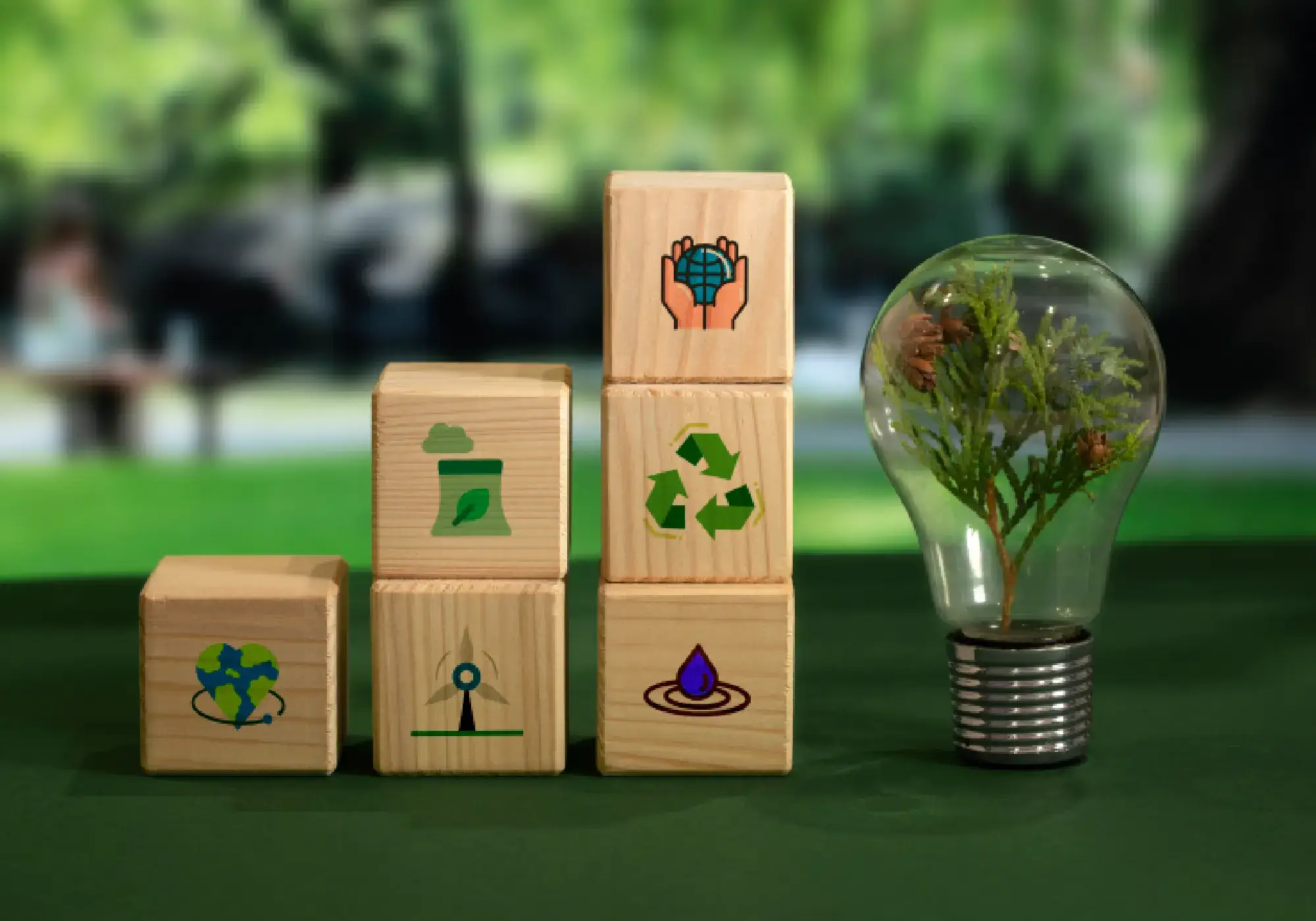 The Science Behind Carbon Credits: A Beginner’s Guide