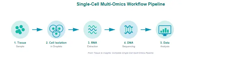 Single cell multi omics workflow showing cell isolation RNA seq ATAC seq proteomics and bioinformatics data integration pipeline.
