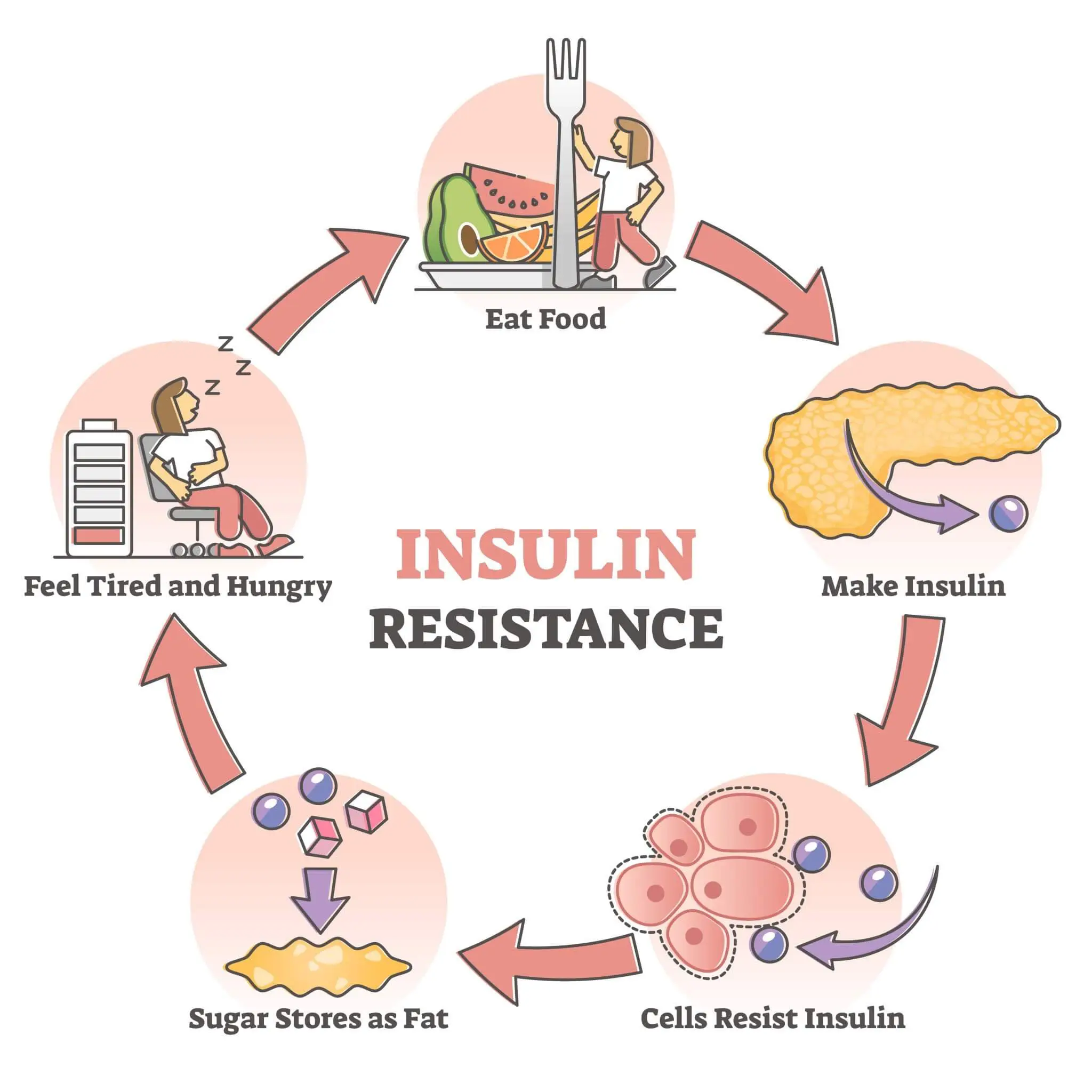A simple analogy explaining how insulin resistance develops in prediabetes and diabetes, leading to difficulty in blood glucose control.