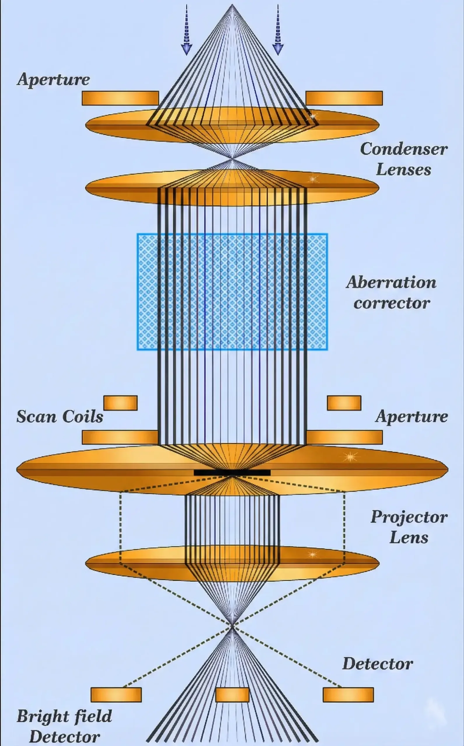 Diagram showing electron beam flow through condenser lenses, aberration corrector, scan coils, projector lens, and detectors in a STEM microscope.