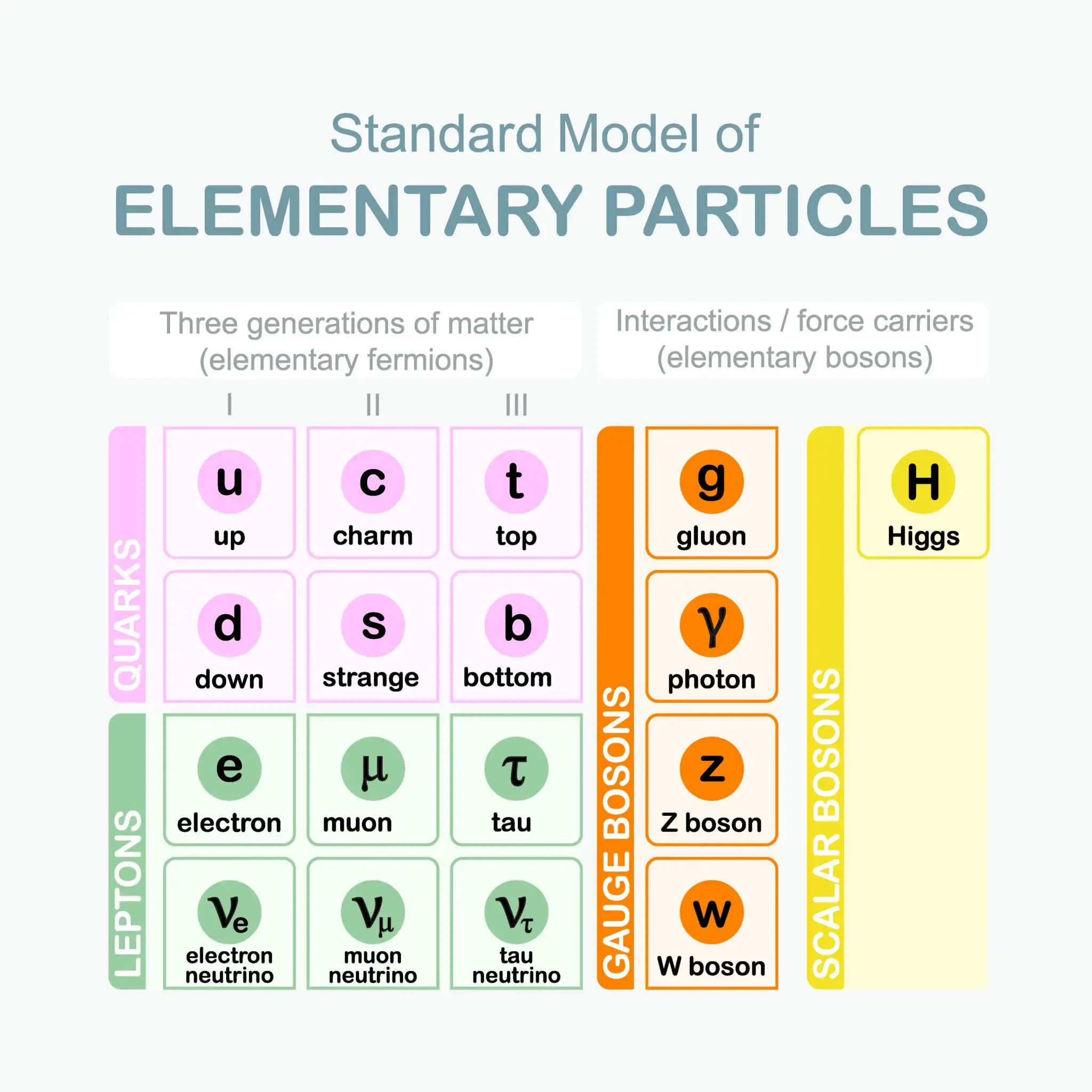 Diagram showing all Standard Model particles: quarks, leptons, fermions, bosons, and their role in fundamental forces like QCD.