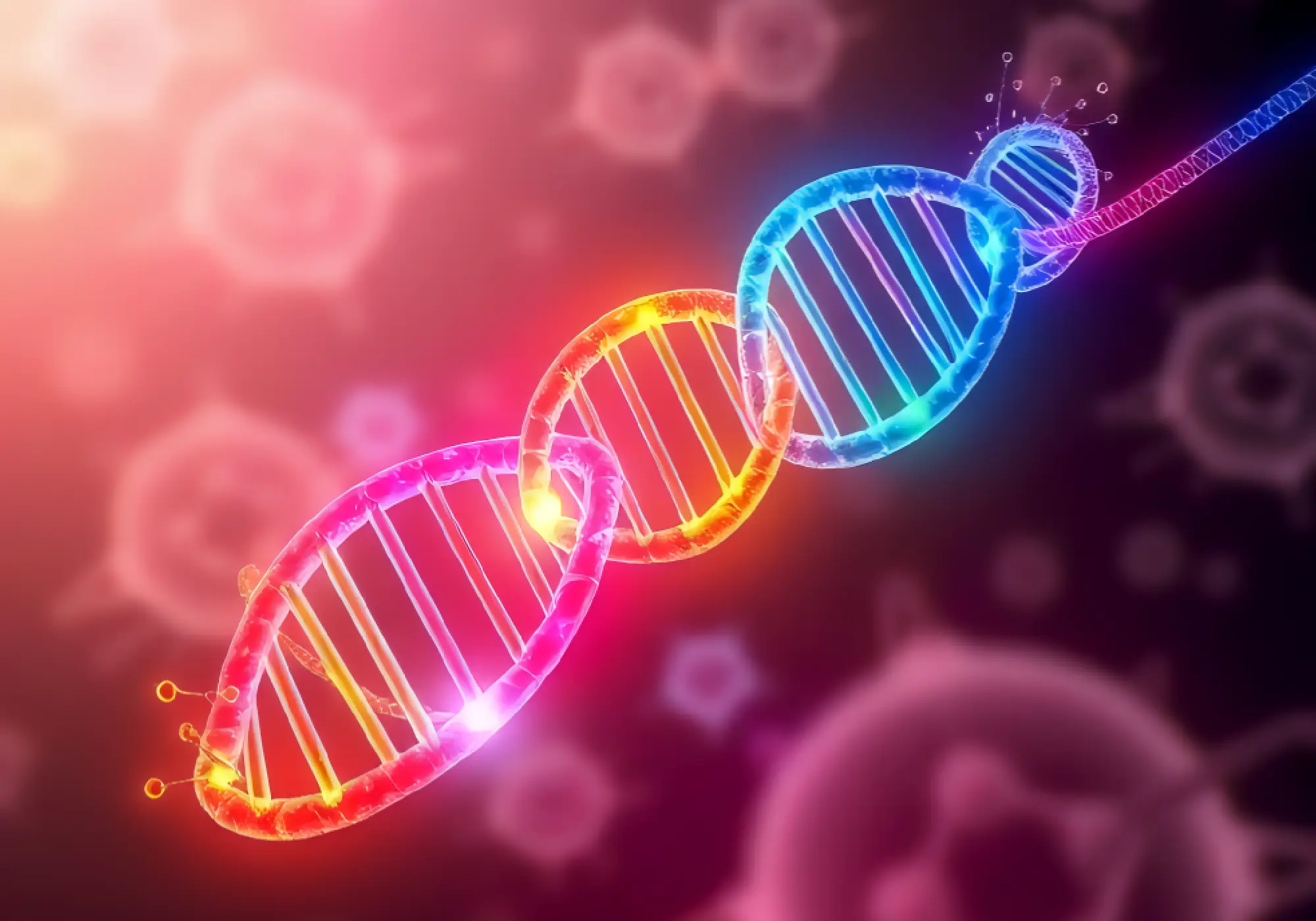 Central Dogma of Life: The One Rule You Must Know About DNA, RNA and Proteins