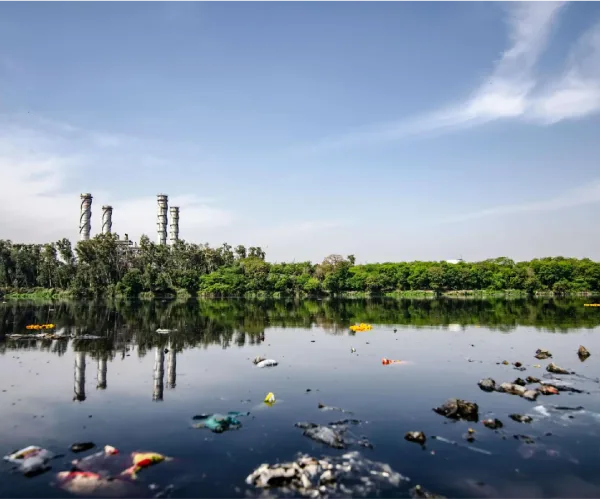 How Organic Chemistry Is Tackling Microplastic Pollution for Cleaner Water