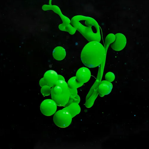 Exploring the Latest Innovations in Protein Structure Determination