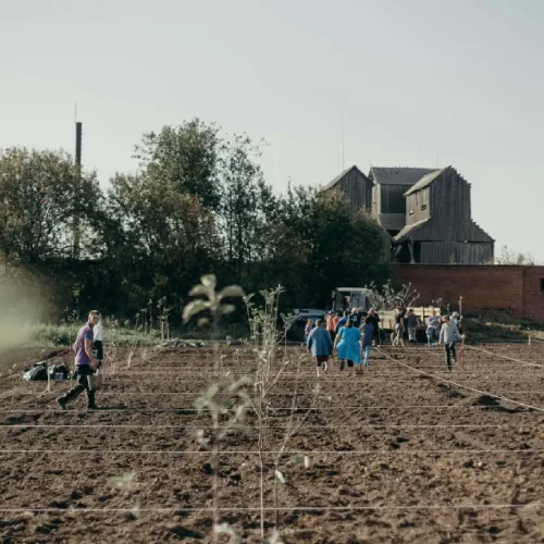 How Community-Led Ecosystem Restoration Projects Are Saving Nature