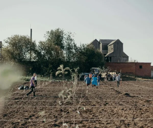How Community-Led Ecosystem Restoration Projects Are Saving Nature