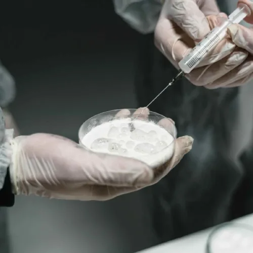 The Ultimate Guide to Organoids for Disease Modeling and Drugs Discovery