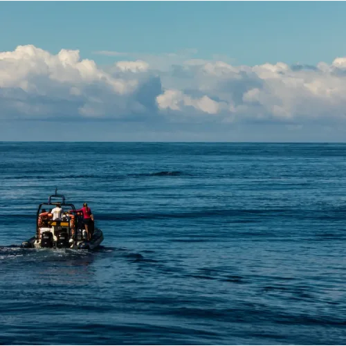 The Great Pacific Garbage Patch: Plastic Pollution’s Exponential Rise and Planetary Impact