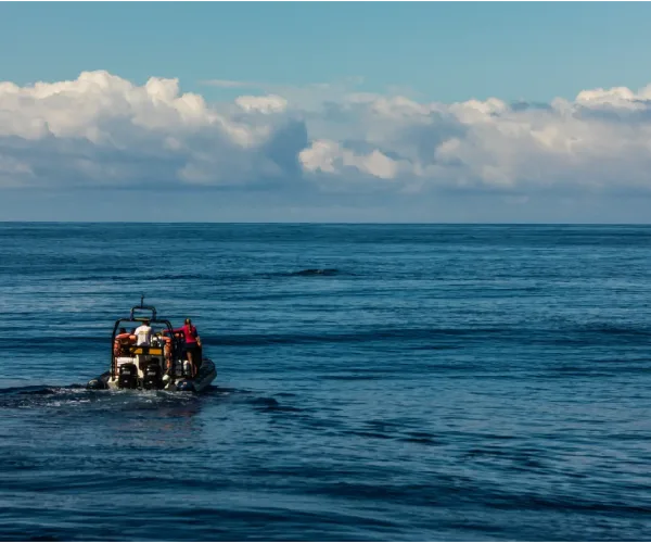 The Great Pacific Garbage Patch: Plastic Pollution’s Exponential Rise and Planetary Impact