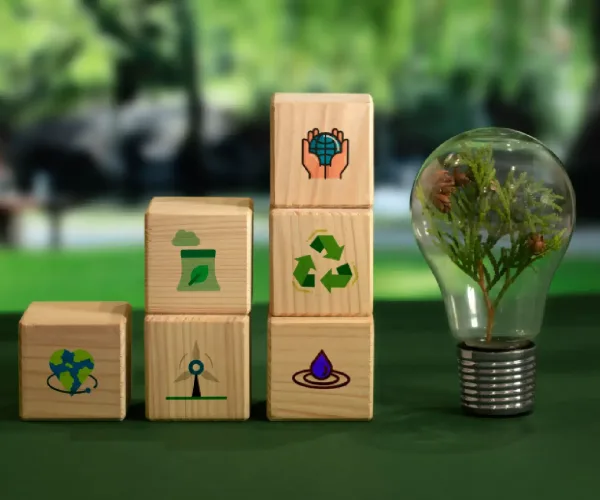 The Science Behind Carbon Credits: A Beginner’s Guide