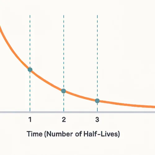 Half-Life Calculator & Decay Chain Explained with Examples