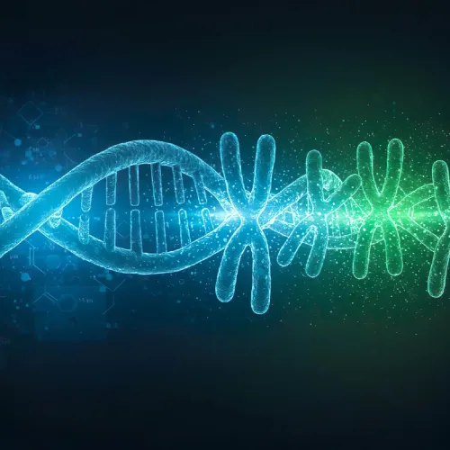 Human Genes Mapping: Process, Importance, and the Future of Genome Research