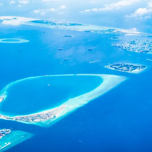 How Many Oceans in the World? Names, Facts, and Geography Explained