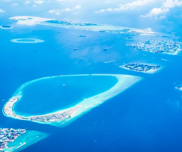 How Many Oceans in the World? Names, Facts, and Geography Explained